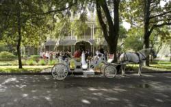Bed and Breakfast for Sale on Amelia Island, FL